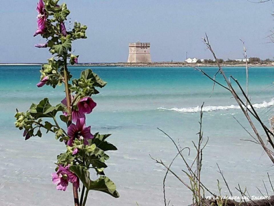 나르도 Casale Salento B&B 외부 사진